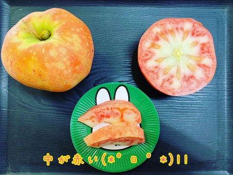 【えぇ！と驚くりんご(*º ﾛ º *)!!】ムーンルージュ 贈答品約3kg