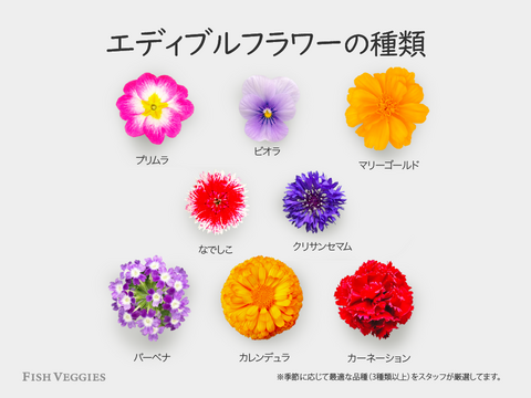 【パーティ用】ブーケサラダセット　新鮮！採れたて！化学肥料/農薬不使用だから安心して食べられる