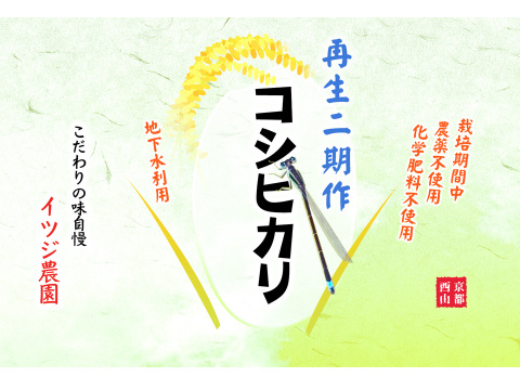 【令和7年】コシヒカリ・再生二期作・白米無洗米（10kg）【栽培期間中　農薬・化学肥料不使用】