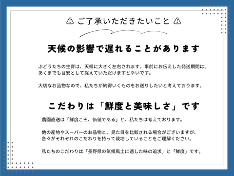 《家庭用》シャインマスカット（粒パック）長野県須坂市産・常温便・コンパクトBOX