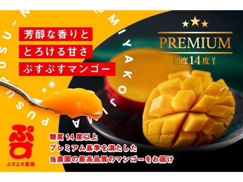 【夏ギフト】ぷすぷすプレミアムマンゴー1キロ（2～3玉）