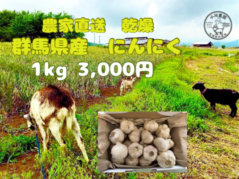 令和8年度 群馬県産 乾燥ニンニク 有機肥料栽培 農薬化学薬品無使用