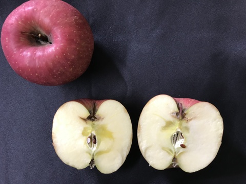 青森県産りんご 家庭用 きずあり サンふじ・王林 ハーフ 約5kg【食べ比べ】