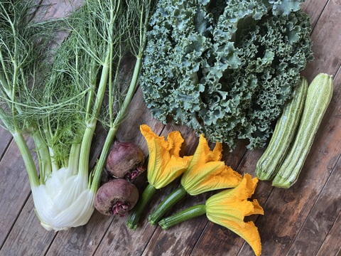 おまかせ季節の野菜セット【S】