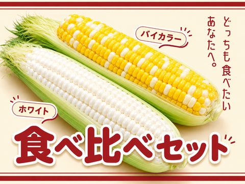 激甘】美味しいと判断したものだけをお届け 白いトウモロコシ4本、バイ