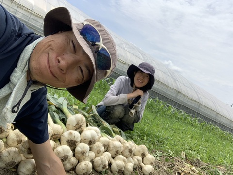 自然農ジャンボニンニク🧄採れたて1Kg【農薬・肥料不使用】（サイズ色々・バラ）