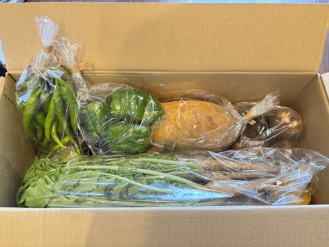 多様性を大切にする 耕さない草ともにある畑から、野菜をお届け   自然農の畑から、不耕起草生、種とり、農薬肥料不使用