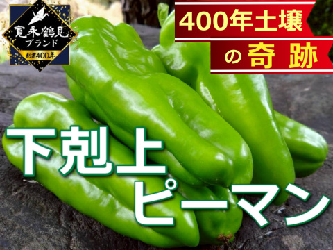 🫑野菜嫌いが吹っ飛ぶ🫑『下剋上ピーマン』400年土壌の栄養を最大限享受したブランドピーマン💡寛永鶴見ブランド1kgお試しキャンペーン💪2026年度予約☘️