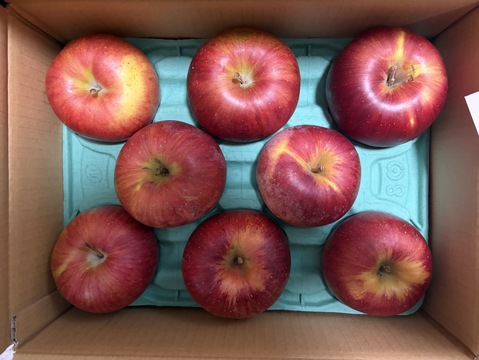 どっちがお好き？？当園人気ナンバー1企画「信州オリジナル林檎食べ比べ」　　お徳用シナノスイート＆シナノゴールド　
訳あり家庭用3キロ中玉　美味しさkeep！スマートフレッシュ鮮度保持貯蔵