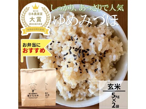 日本農業賞大賞受賞 令和８年産ゆめみづほ5kg×2袋玄米