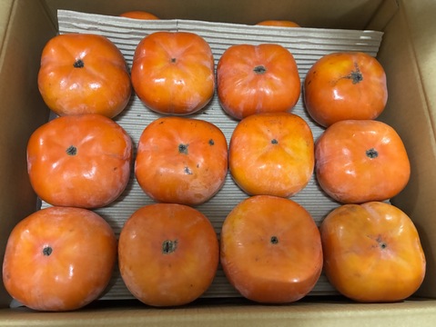 【今季最終便】幻の柿 次郎柿！ワケありお徳用（小キズあり）みんなでシェア24～32個7.5kg