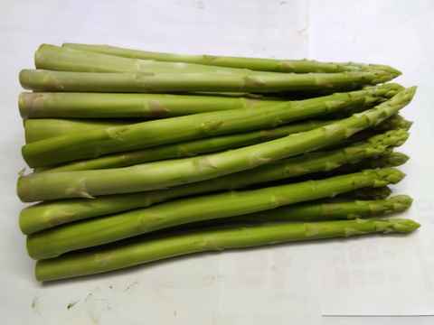 シャキシャキ！さぬきのめざめ秀品2Lサイズ夏芽1㎏