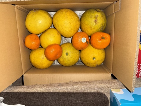 鹿児島県産「わっぜうまかぁサワーポメロ」＋おまけ