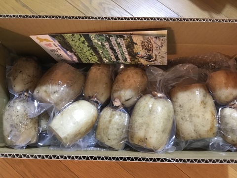 自然栽培れんこん 真空パック400g×７袋【５月中旬頃まで】