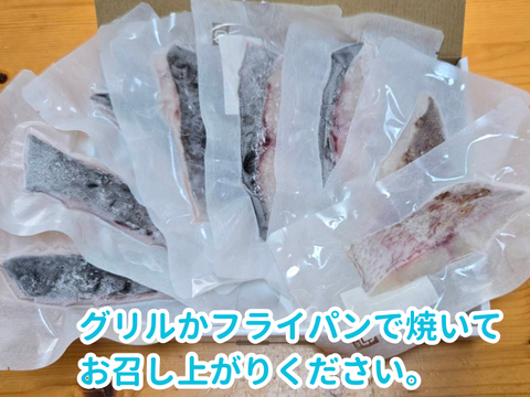 【旨味詰まった冷凍商品】規格外養殖マダイ＆カンパチの一夜干し！各5切れ 計10枚/箱