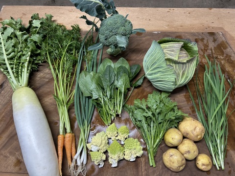 カラダ元気に　野菜セット