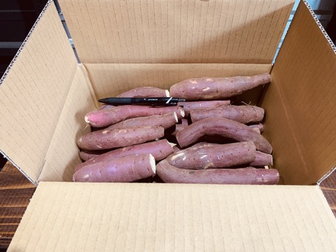 さつまいもページ Amazon.co.jp: 紅はるか ベビーサイズ 10kg (9kg+保証分1kg) 土