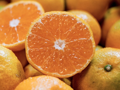 愛媛みかんの老舗厳選『極早生みかん 11kg』愛媛県川上産