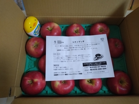 残り8ケース【フルティーサマーアップル】トキ 3キロ箱 6玉〜15玉サイズ商品ID09523 長野県 信州 安曇野 リンゴ 幻 幻のリンゴ 予約 希少 旬