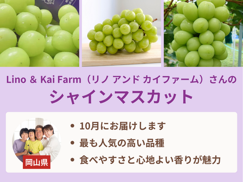 【売り切れ】【限定200セット】ぶどう食べ比べ便（食べチョク公式）