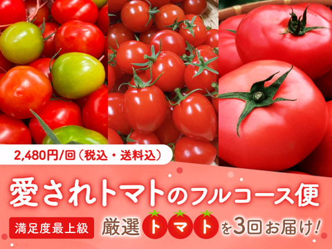 【限定100セット】愛されトマトのフルコース便🍅（食べチョク公式）