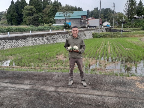 山の農村の白い宝石「若栃産カリフラワー（雪まつり）」（4個入り）