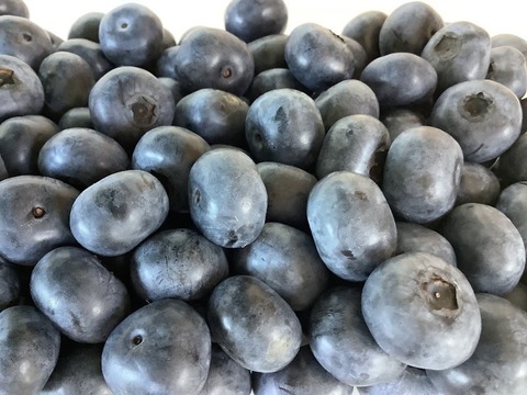 【大粒(タイタン)お得パック！】完熟生ブルーベリー250g×2パック