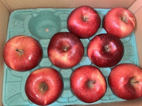 シナノホッペ（約2.7㎏）7～14玉 特選
信州長野県産　なかなかお目にかかれない希少りんご！　
ほっぺが落ちるほどおいしい「シナノホッペ」
ぜひご賞味ください