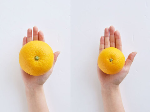 【ご注文受付中】八朔(はっさく)【家庭用(訳あり)】[10kg] 312-4