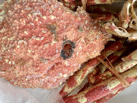 【訳あり】面に傷アリ！お得な高足ガニ1.1kg（3人用）