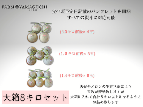 ギフト専門農家から！【北海道メロン】　大箱　８キロ