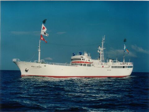 昭福丸が漁獲した天然南まぐろ中トロ(180g）