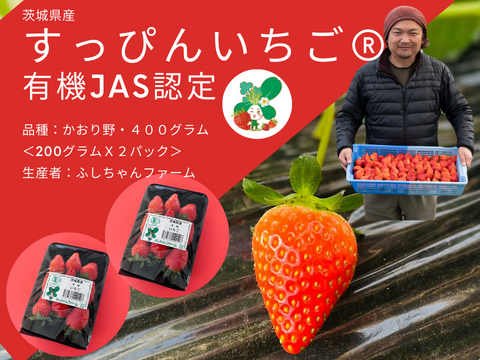 有機JAS認定　茨城県産有機いちご（かおり野　200gｘ2パック）
