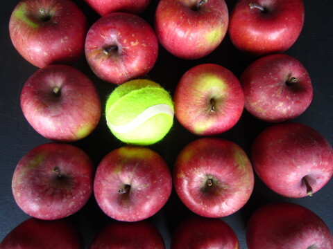 ★今季最終限定品★極小玉ミニチュアサイズ 🍎家庭用していただけると思います 総重量 約4.3kg以上 青森県 南部地方産 自家りんご農園生産直送品！