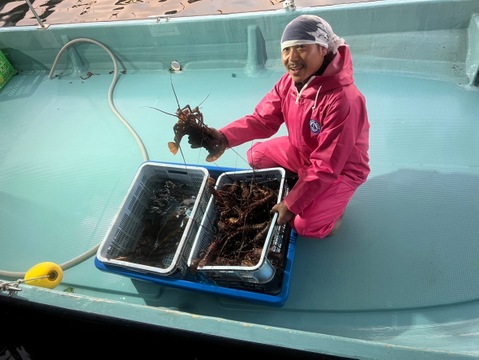 天然物！　熱海産　伊勢海老2キロ