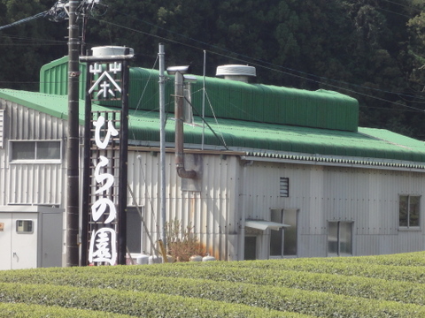 【水出し煎茶】20個入り×4袋★すっきりゴクゴク♪水出し煎茶ティーバッグ★ボトルに入れて冷蔵庫に置くだけ★