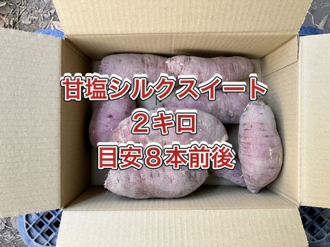 【鹿児島産】甘塩シルクサツマイモ箱込み2キロ^_^