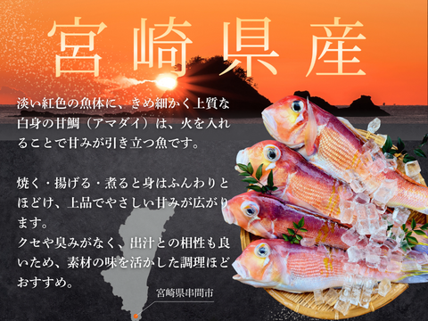【白身魚の食べ比べ】甘鯛 × レンコダイ セット（合計６kg）