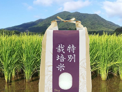 「夢つくし」(白米10kg) 農薬・除草剤不使用の特別栽培米（福岡エコ農産物認証）リンゴガイ農法で安全・安心・美味