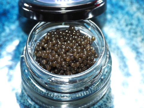 黒耀キャビア15g入りフレッシュ急速冷凍 ～ Obsidian Caviar ～