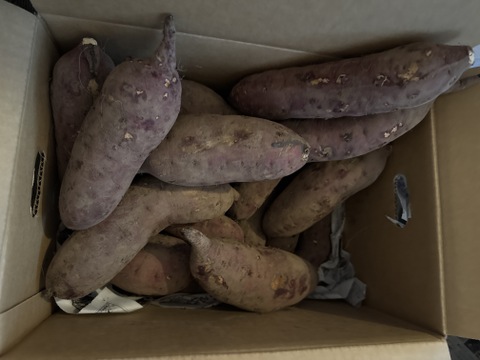 北海道産さつまいも『べにはるか』10kg【冬ギフト】Mサイズ