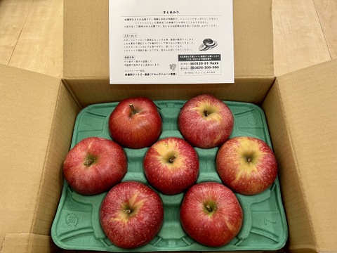 終わります🍎【幻の林檎】さとあかり 3キロ箱 6玉〜15玉サイズ商品