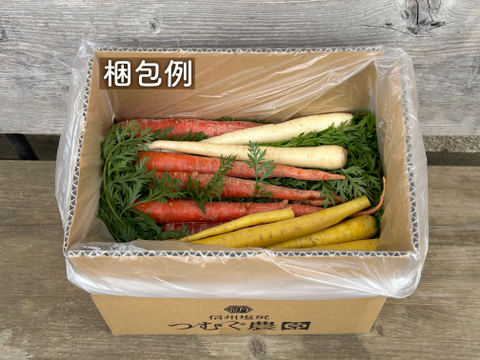 信州産｜甘い葉付きカラー人参