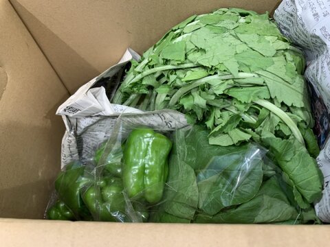 名残の夏野菜＆秋の旬野菜おまかせ6品目　※10月限定