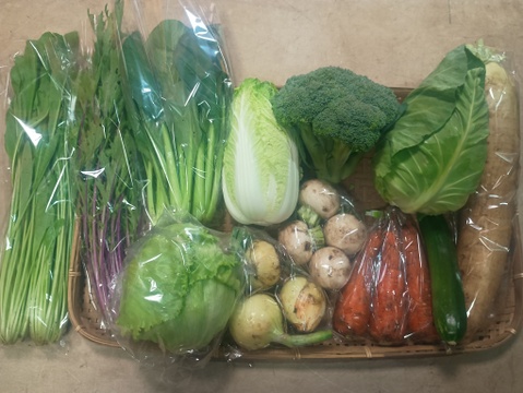 【10日分の野菜！】旬の野菜セット10～12品【農薬・化学肥料不使用】