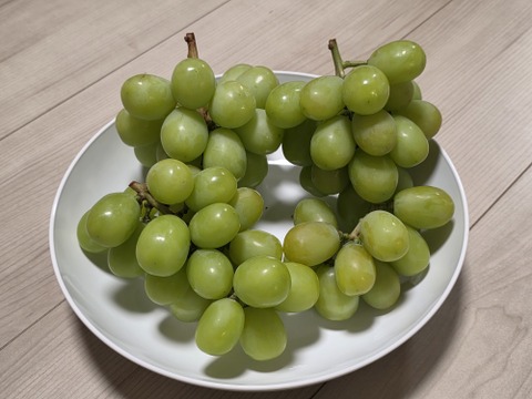 山梨県産／パリッと食感！訳ありシャインマスカット ご家庭用1Kg【限定