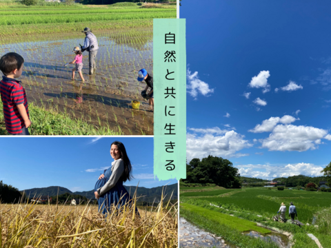 白米 10㎏ 希少米　つきあかり　栽培期間化学肥料不使用