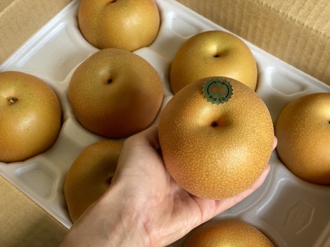 愛情たっぷり【豊水梨】箱込み2ｋｇ（5～6個）本州の方限定
