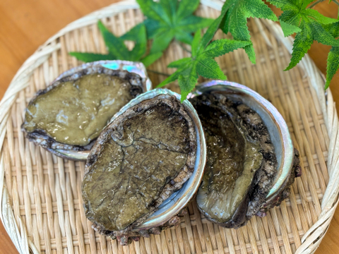 【極旨】青森県産 天然アワビ1kg！海の宝石を贅沢に堪能！
