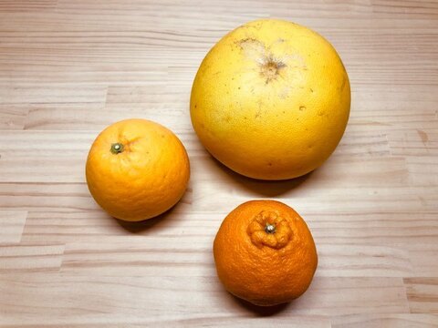 【初回限定BOX】晩白柚orチャンドラ、肥の豊、河内晩柑三種詰め合わせ